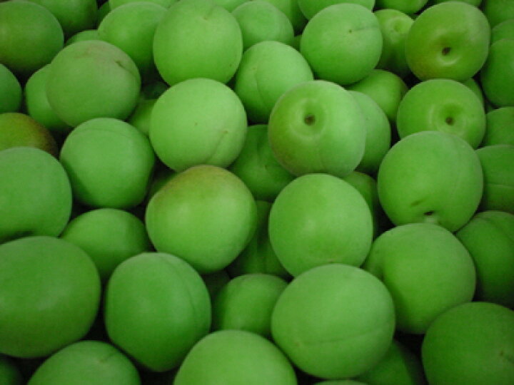 楽天市場 産直 石川県 加賀の梅酒用 青梅 入荷品種 剣先 大桑 石川一号 1kgその日の入荷から 野菜ソムリエが選びます青味が残る程度 近江町北形青果