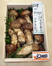 楽天市場】 まつたけ > 能登産 > 能登松茸 通称 のとまつ お買い得品 