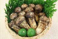 松茸　[産地]中国産　[形]つぼみ　[サイズ]M　[等級]A　[内容量]500g