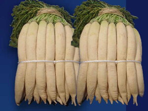 [Y]@ȂɋȂقǁA悭卪@2