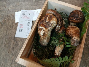 7N111ׁ@ΐ쌧Y@@345g@24150~@ό`@KiOi@ƒp