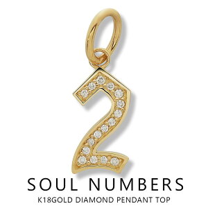 2 \Eio[ y_g ґ򃁃YWG[  io[lbNX K18CG[S[h io[ _Ch lbNX y_ggbv̂   v[g yl