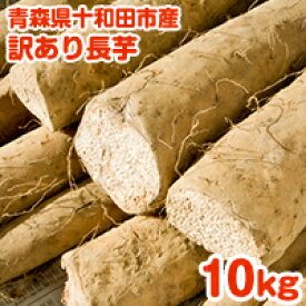 【送料無料】青森県産 訳あり長芋 10kg 粘りが最高！ 家庭用 野菜 ながいも 長いも