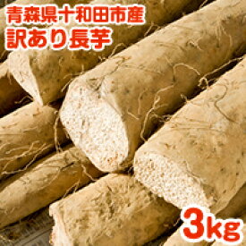 【送料無料】青森県産 訳あり長芋 3kg 粘りが最高！ 家庭用 野菜 ながいも 長いも