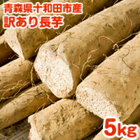 【送料無料】青森県産 訳あり長芋 5kg 粘りが最高！ 家庭用 野菜 ながいも 長いも