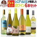 白ワインセット 【 送料無料 】当店のシニアソムリエが厳選！大特価の白ワイン 6本セット 第19弾【2,730円OFF】 | 白ワイン ワインセット フランス イタリア チリ ギフト プレゼント おしゃれ お祝いお中元 夏ギフト 【熨斗・のし対応 無料】