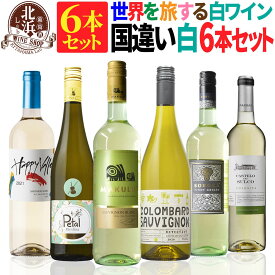 白ワインセット 【 送料無料 】 世界の白ワイン 国違い 6本セット 第03弾 【3,278円OFF】 | ワインセット フランス イタリア チリ 南アフリカ モルドバ オーストラリア ギフト おしゃれ 父の日 お祝い【熨斗・のし対応 無料】