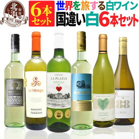 白ワインセット 【 送料無料 】 世界の白ワイン 国違い 6カ国 6本セット 第10弾 【4,600円OFF】| 白ワイン フランス イタリア スペイン ドイツ モルドバ 南アフリカ プレゼント おしゃれ お祝い クリスマス 年末年始 【熨斗・のし対応 無料】