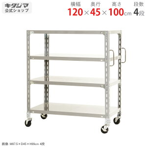 ylz yʃLX^[bN Obvt 120×s45×100cm 4i zCgO[ 150kg/S yLX^[tbNňlɒz yX`[I X`[bN Ɩp 