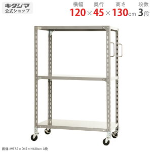 ylz yʃLX^[bN Obvt 120×s45×130cm 3i zCgO[ 150kg/S yLX^[tbNňlɒz yX`[I X`[bN Ɩp 