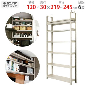ylz V˂胉bN y200K 120×s30×219`245cm 6i AC{[ 200kg/i y˂IyVňlɒIz yX`[I X`[bN Ɩp [I [