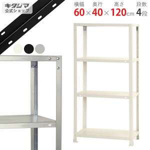 �X�`�[�����b�N ��60 ���s40 ����120cm 4�i �z���C�g �u���b�N �������b�L �X�}�[�g���b�N NSTR-436 �ω׏d40kg/�i �X�`�[���I �I ���b�N �X���� ���[�I ���[���b�N �I�[�v�����b�N �X�`�[���V�F��