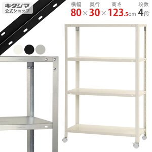 X`[bN X}[gbN NSTRK-45480×s30×123.5cm 4izCg ubN bL 80kg/SX`[I X`[bN LX^[t [I [bN X Lb` VF