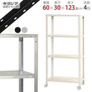 X`[bN X}[gbN NSTRK-43460×s30×123.5cm 4izCg ubN bL 80kg/SX`[I X`[bN LX^[t [I [bN X Lb` VF