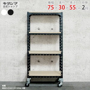 �X�`�[�����b�N ��75 ���s30 ����55cm 2�i �z���C�g �u���b�N �A���O���I �L���X�^�[�t �ω׏d150kg/�S �X�`�[���I �L���X�^�[���b�N �L���X�^�[�t�� ���b�N ���[�I ���[���b�N ��� ������� �L
