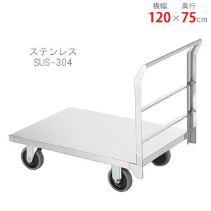 ylz XeX CA-85T 120×s75cm XeX 500kg yXeXԊyVňlɒIz yX`[I X`[bN [I [bNz