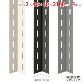カラーアングル オプション 付属品 パーツ カラーアングル40型 2×40×40×2100mm 4本セット ホワイト ブラック グレー 棚補強 DIY 万能材 強度抜群 Lアングル L字アングル L型鋼材 スチールアングル 補強材 ラック補強 自作棚 金属パーツ 業務用 工場用