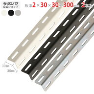 カラーアングル オプション 付属品 パーツ カラーアングル30型 2×30×30×300mm 2本セット ホワイト ブ…