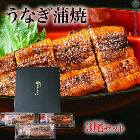 うなぎ蒲焼3尾セット/国産 宮崎産 炭火焼 専門店 ギフト 贈答品 頭なし 焼き上げ150g以上×3尾 土用の丑の日 誕生日 プレゼント 父 祖父 お中元 父の日 母の日 お歳暮 お中元‗和食