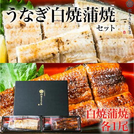 うなぎ白蒲セット/国産 宮崎産 炭火焼 ギフト 贈答品 白焼1尾170g・蒲焼1尾150g 土用の丑の日 頭なし 誕生日 プレゼント 父 祖父 お中元 父の日 母の日 お歳暮 お中元