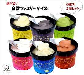 北海道 金雪カップアイス 500ml×3個セット 【選べる6種】 バニラ・チョコ・いちご・抹茶・黒ごま・とうきび ファミリーサイズ アイスクリーム ギフト スイーツ 詰め合わせ 御祝い プレゼント 人気 お取り寄せ 【送料無料】