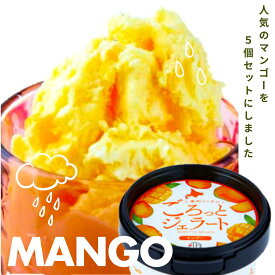 【贅沢マンゴージェラート 5個セット】 ごろっと果肉入りアイスクリーム フルーツジェラート 人気 誕生日 北海道ギフト・スイーツ・お土産におすすめ　北からの贈り物 【送料無料】