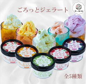 ごろっとアイス 5種セット　ギフトアイス　ジェラート　★マンゴー　ストロベリー　ミックスベリー　ずんだ　アップル★　アイス　北海道 ギフト アイスクリーム ジェラート スイーツ 人気 詰め合わせ セット お土産 アイス【送料無料】