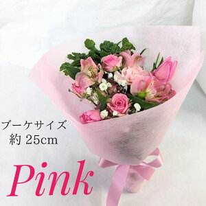 ~ju[P ܂y Mtg zIׂ F sN CG[ IW zCg a j ʉԑ ̓ ̓ hV̓  ~j  ԑ u[P v[g v`Mtg a