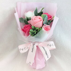 \[vt[ u[P oyMtgzV{t[ \[vu[P ̓ Ό  KN ԑ tOXt[ \[vt[u[P tOX t[ ͂Ȃ  v[