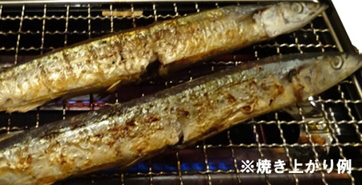 楽天市場 北海道 さんま 送料無料 北海道産 糠さんま ぬかさんま 16尾前後 価格 3980円 糠サンマ 冷凍 北海道 ポイント きた蔵の畑