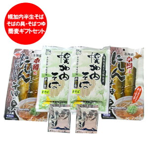    Mtg y   Mtg Zbg  y   240g×2(Eɂ񋼔̋ Zbg)i 2000 ~ |bL 