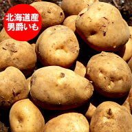 最短発送中 じゃがいも 男爵いも 送料無料 だんしゃくいも 10kg MLサイズ 北海道 男爵 ジャガイモ 野菜