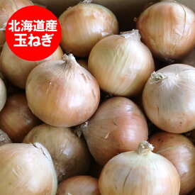 玉ねぎ 10kg 送料無料 たまねぎ 10kg Mサイズ 共撰 野菜 たまねぎ 北海道産 たまねぎ / 玉葱 / タマネギ 北海道
