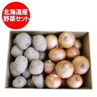 最短発送中 じゃがいも たまねぎ の 野菜セット 男爵いも 玉ねぎ 送料無料 北海道 だんしゃくいも たまね…