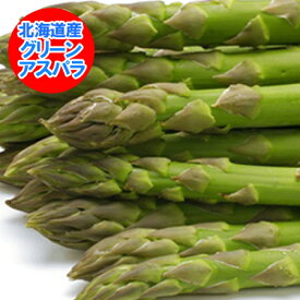 アスパラ 送料無料 グリーンアスパラ 北海道 アスパラ 900 g (Lサイズ 450 g・2Lサイズ 450 g 混合 合計 900 グラム) 野菜 アスパラガス