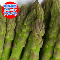 グリーン アスパラ 送料無料 グリーンアスパラ 900g 2Lサイズ 北海道 アスパラガス 野菜