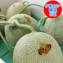 夕張メロン 送料無料 夕張メロン 8kg 優品 5玉入 1箱(1ケース) 北海道 夕張 メロン 優 夕張メロン 夕張農協共撰 メロン ゆうばりめろん 果物 フルーツ くだもの メロン