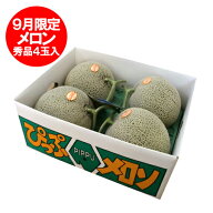 9月限定 メロン 比布メロン 8kg メロン 送料無料 ぴっぷメロン 秀品 北海道 メロン 大玉 赤肉メロン ぴっ…
