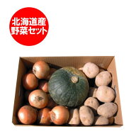 最短発送中 野菜 男爵いも / 玉ねぎ / かぼちゃ 計9kg 北海道 野菜セット ( じゃがいも だんしゃくいも …