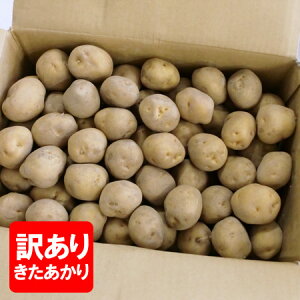  󂠂 Ⴊ 10kg   WKC k MTCY kC  FႪ L^AJ IႪ