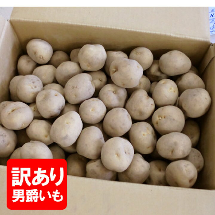 楽天市場】訳あり じゃがいも 10kg 男爵いも 送料無料 ジャガイモ 男爵 
