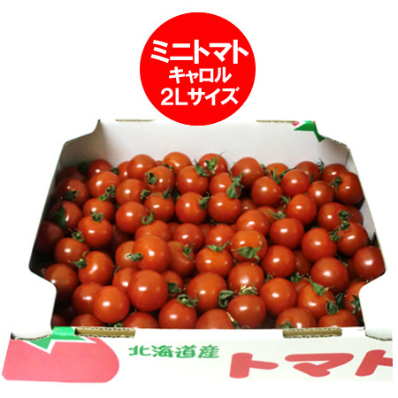 ミニトマト 送料無料 新作通販 北海道のミニトマト 北海道 2Lサイズ 2kg トマト 価格 2キロ とまと セール特価 3240円