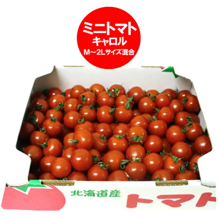 楽天市場 訳あり トマト 送料無料 ミニトマト 北海道 ミニ トマト M 2lサイズ 2kg 2キロ 価格 2980円 わけあり トマト とまと 無撰別 北海道 ポイント きた蔵の畑