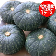 最短発送中 野菜 かぼちゃ 送料無料 北海道産 カボチャ 1箱(5玉から6玉入) 南瓜はえびす / 九十九里 / く…
