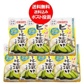 漬物の素 送料無料 漬け物の素 粉末 さっぱり ビール漬け 1袋×7個 ビール漬けの素