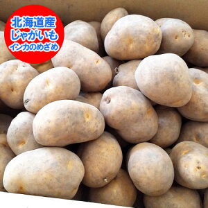 CĴ߂  kC Ⴊ CĴ߂ 5kg STCY 񂩂̂߂ Ⴊ CJ  WKC