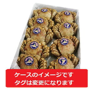 浜ゆで 毛ガニの人気商品 通販 価格比較 価格 Com