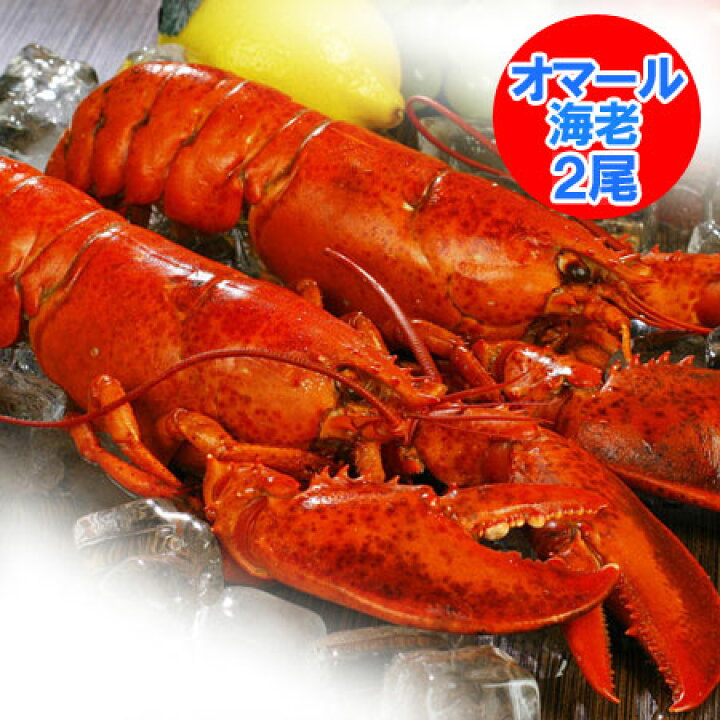 楽天市場 オマール海老 送料無料 オマール海老 ボイル 2尾 1尾 300 G前後 2 オマールエビ 北海道 ポイント きた蔵の畑