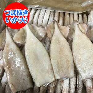 o[xL[ H  Ⓚ  kCEX CJ ڔCJ 70 1  Ɩp Ă CJĂ Cxg  YHi CJ