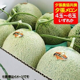 【夕張メロンは随時発送中】訳あり 夕張メロン 8kg 1箱 夕張農協共撰 送料無料 夕張 メロン 良品 4玉～6玉入 メロン わけあり フルーツ 果物 メロン くだもの